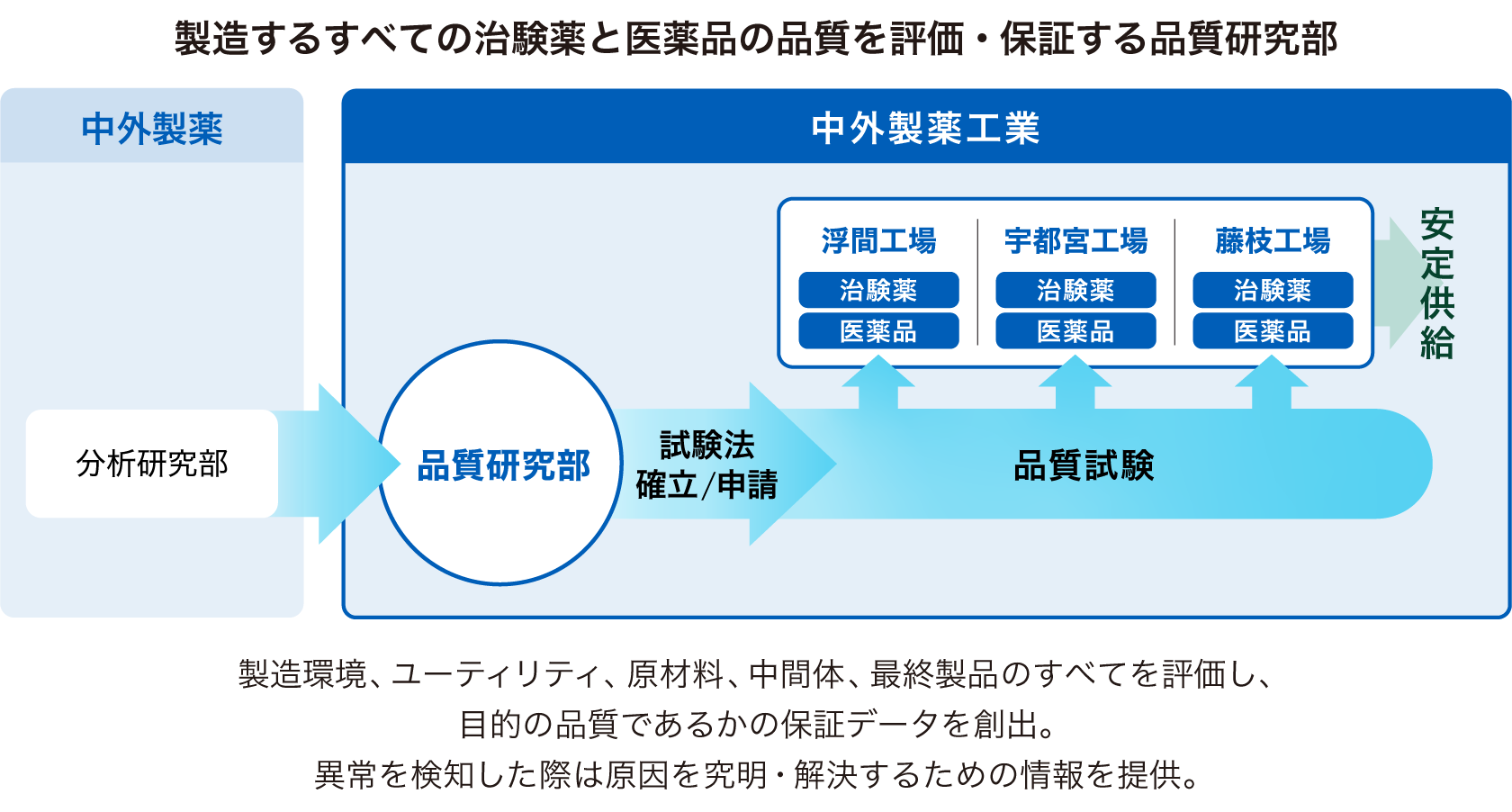 治験薬や製品の品質をあらゆる面で評価をする品質研究部を示す図