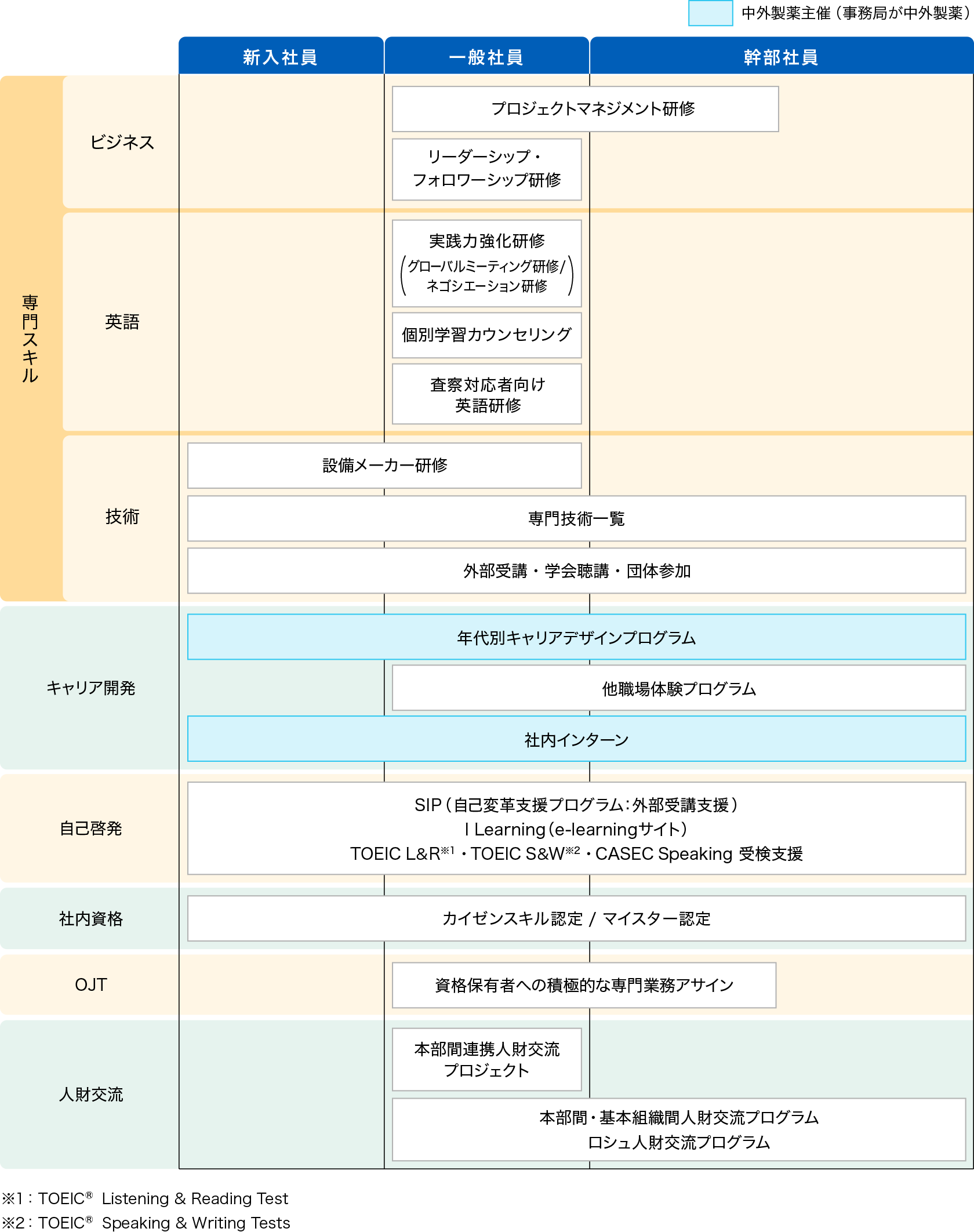 人財育成体系図2